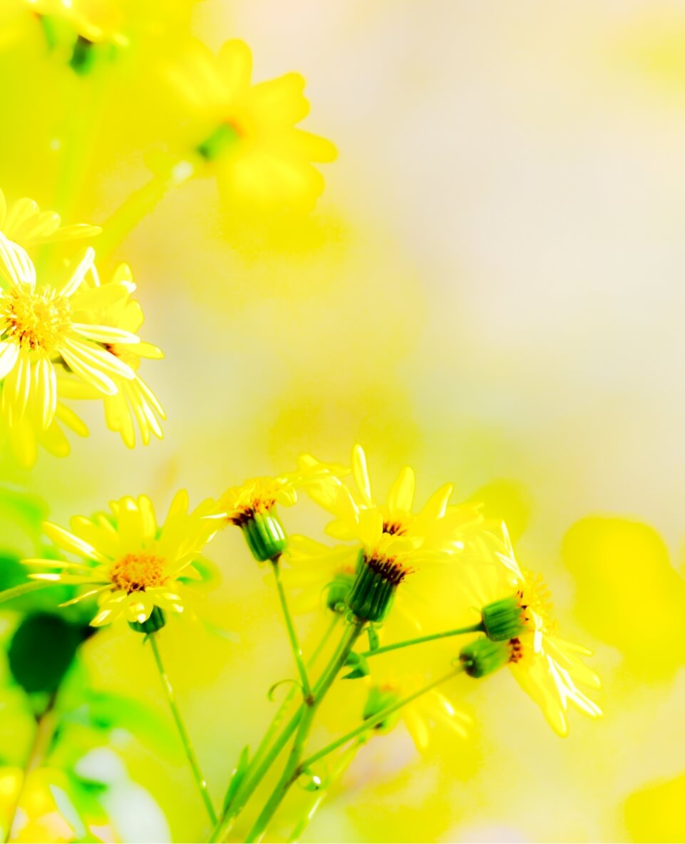 あなたの⼀歩を全⼒で応援します！